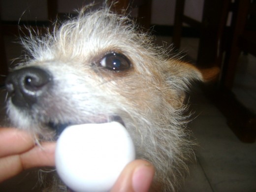 !!!JAAAA LA COJI¡¡¡¡ !!!JAAAA LA COJI¡¡¡¡